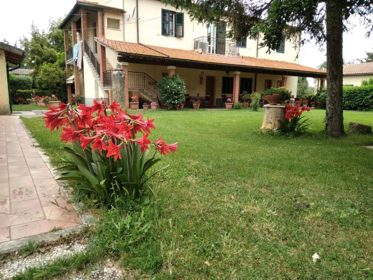 Agriturismo Le Chicche Di Mafalda Montemerano Kültér fotó